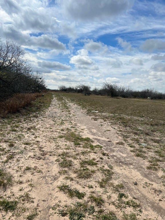 10.1 acres in Duval County - photo 7