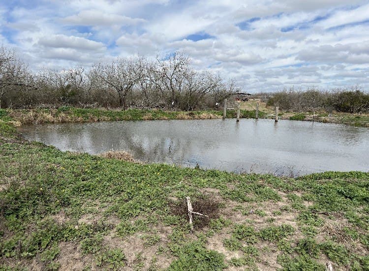 10.1 acres in Duval County - photo 16