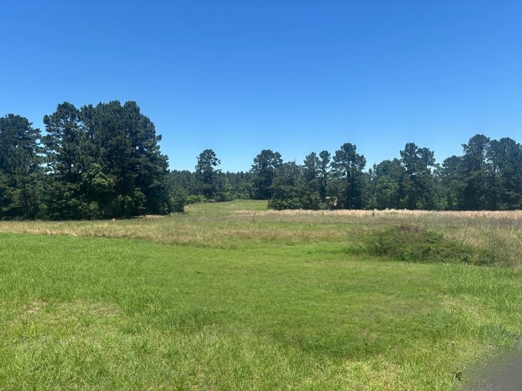 12.4 acres in Texas County - photo 39