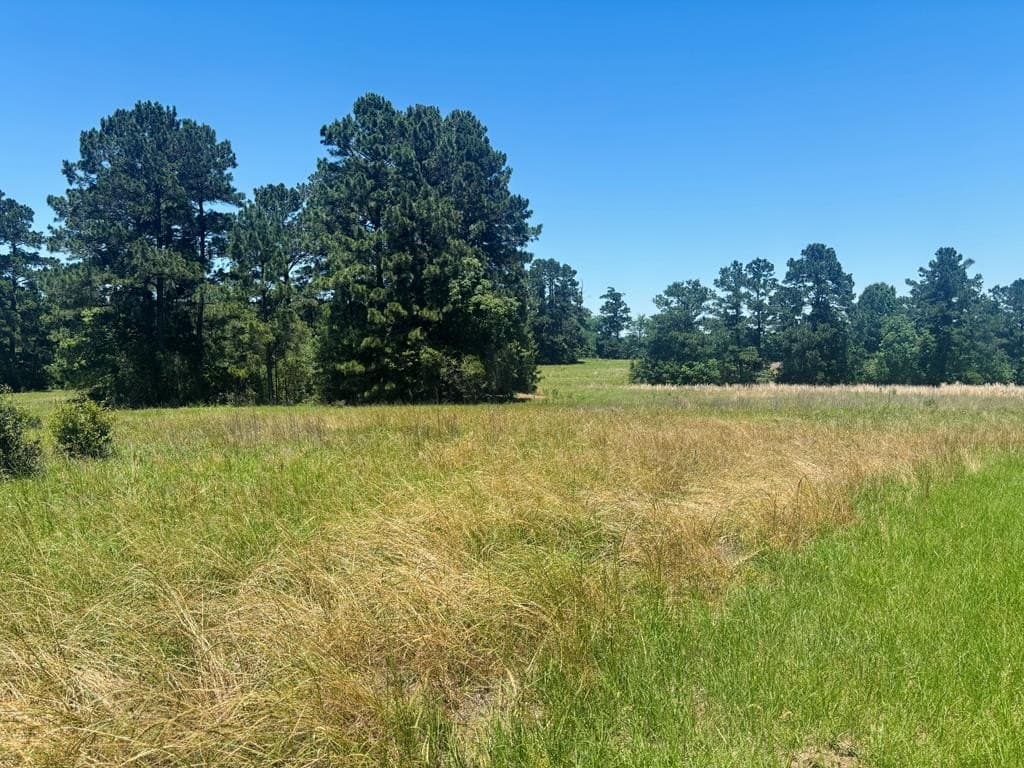 12.4 acres in Texas County - photo 41
