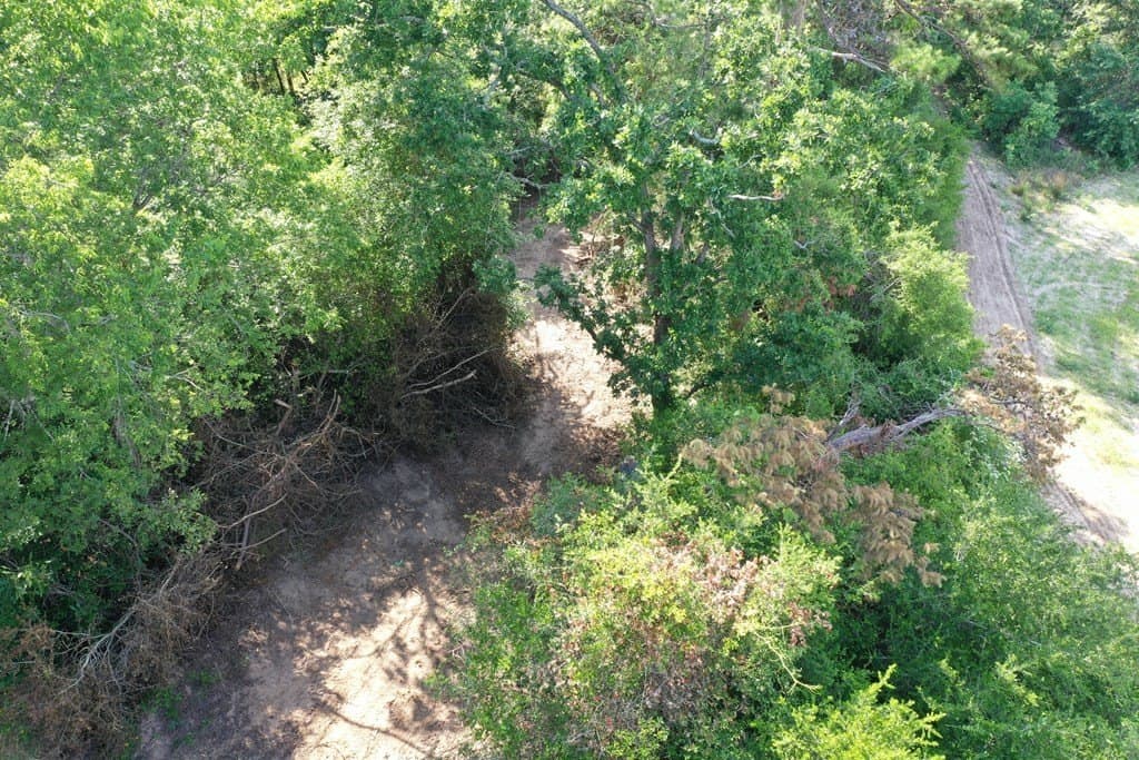 54.97 acres in ANDERSON County gallery image 4