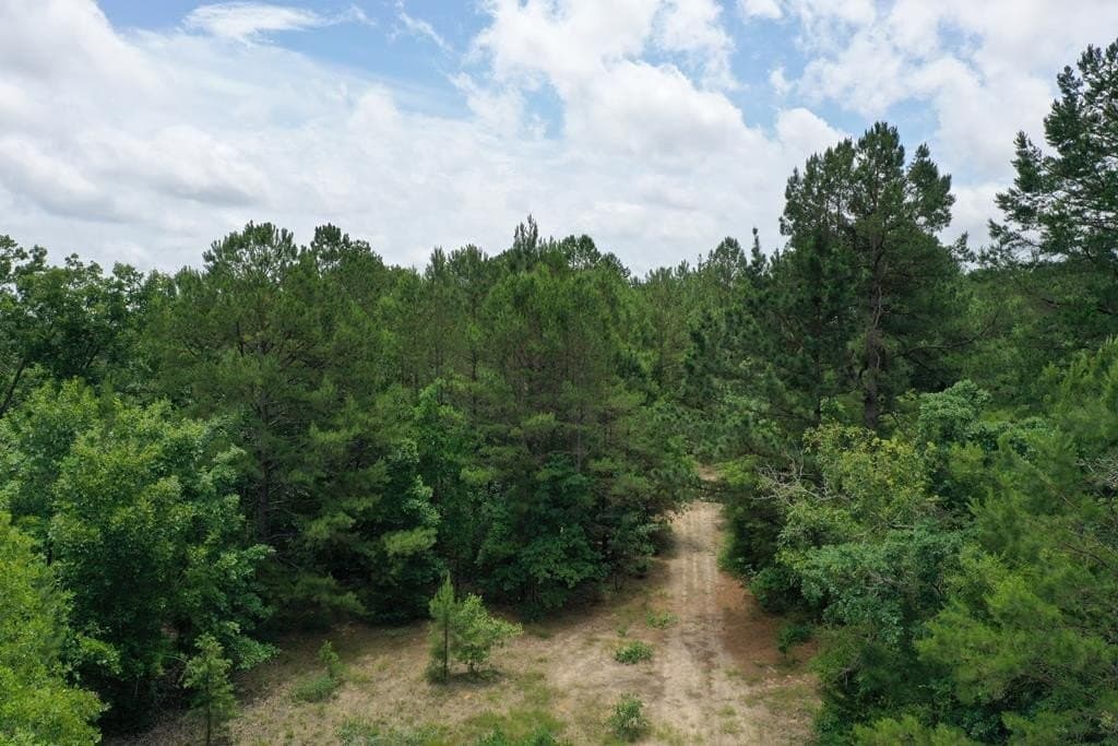 54.97 acres in ANDERSON County featured view