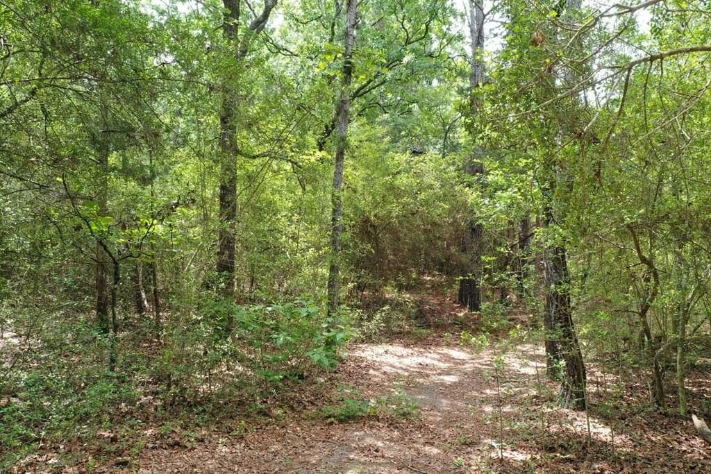 54.97 acres in ANDERSON County