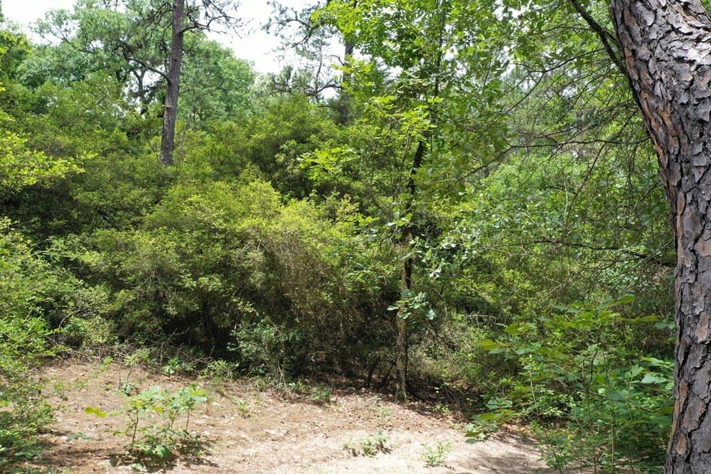 54.97 acres in ANDERSON County gallery image 3