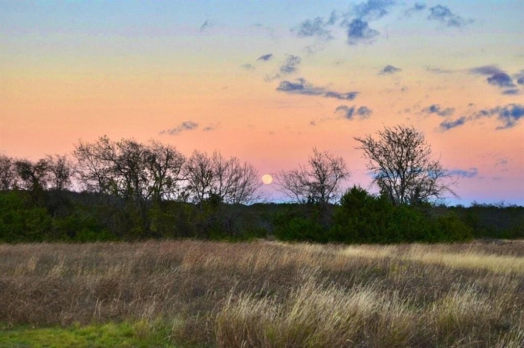 24.6 acres in Bosque County gallery image 4