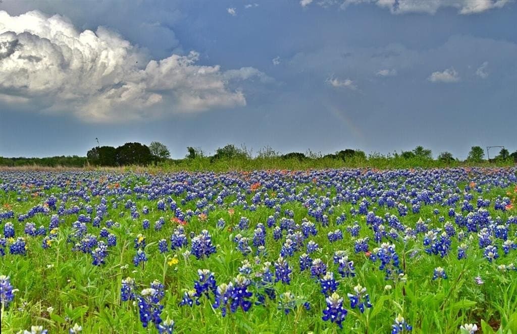 24.6 acres in Bosque County featured view