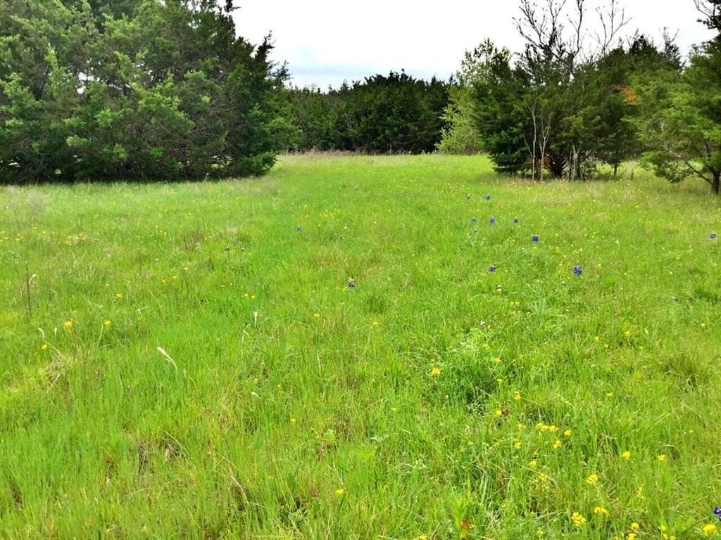 24.6 acres in Bosque County gallery image 3