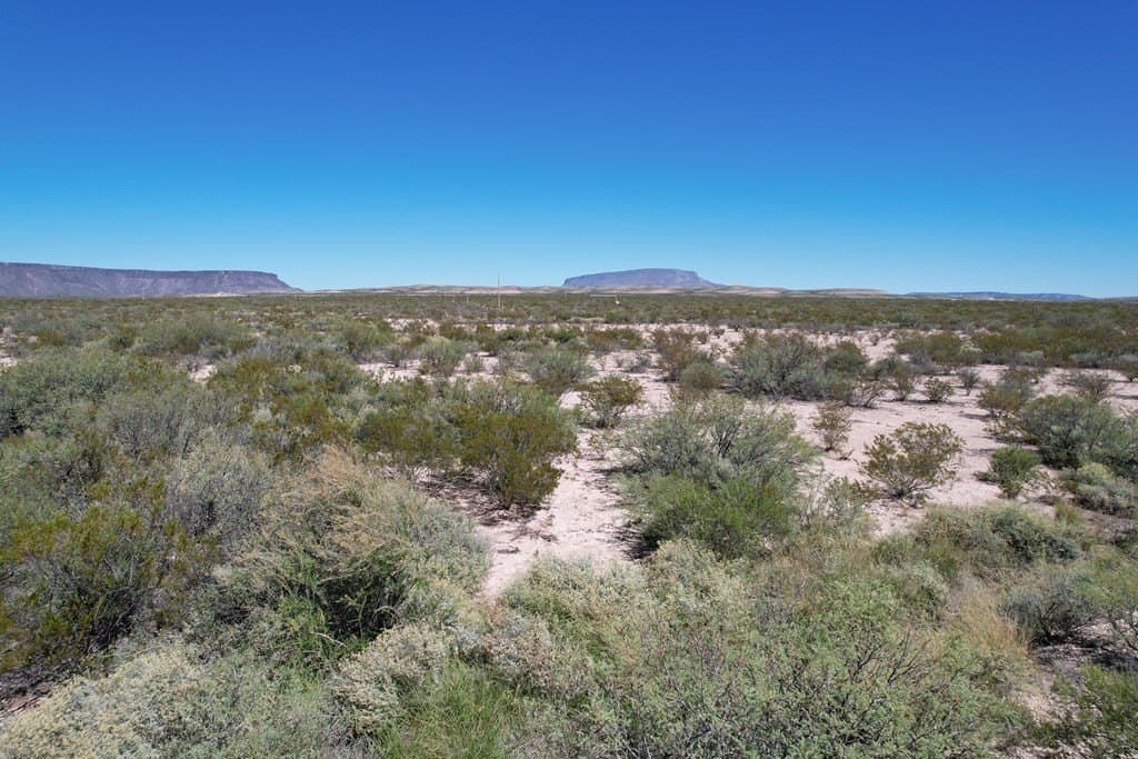 81.11 acres in Brewster County featured view