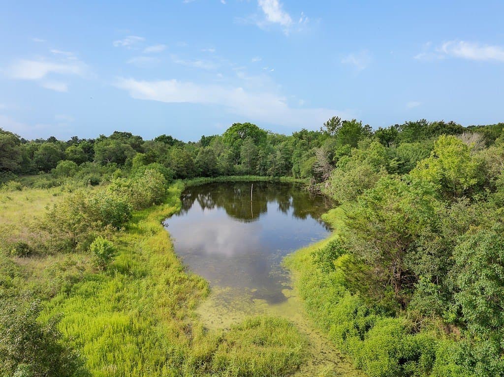 10 acres in Fayette County gallery image 3