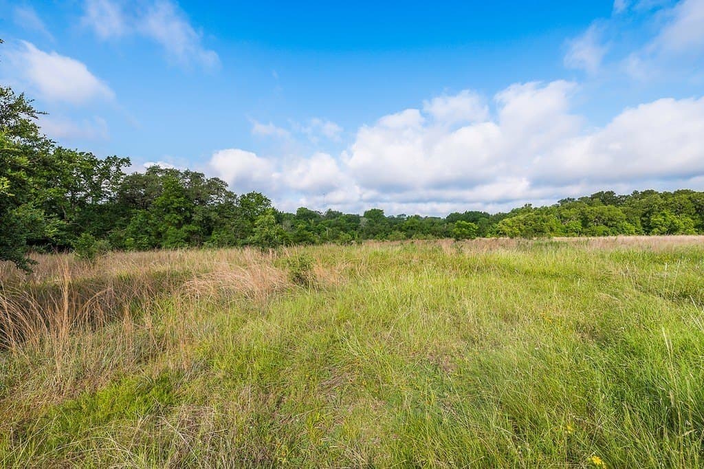 10 acres in Fayette County gallery image 4