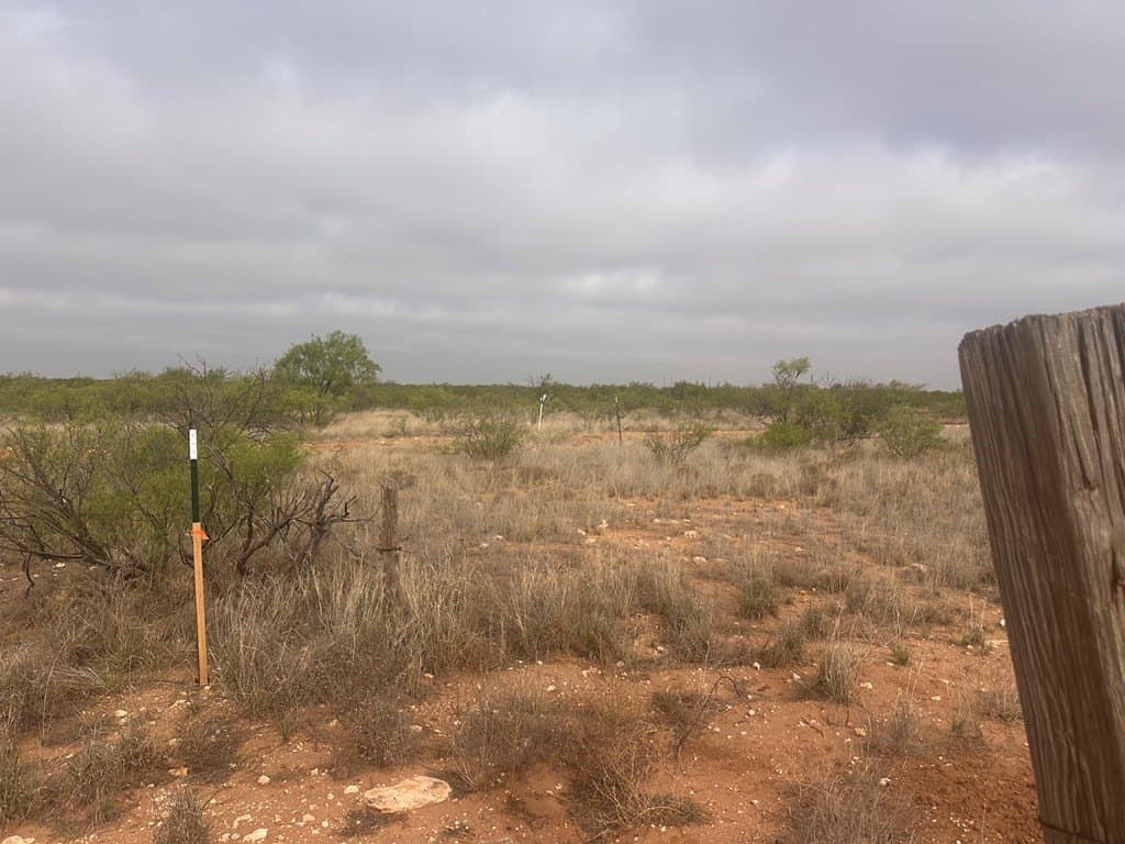 21.84 acres in Gaines County gallery image 2