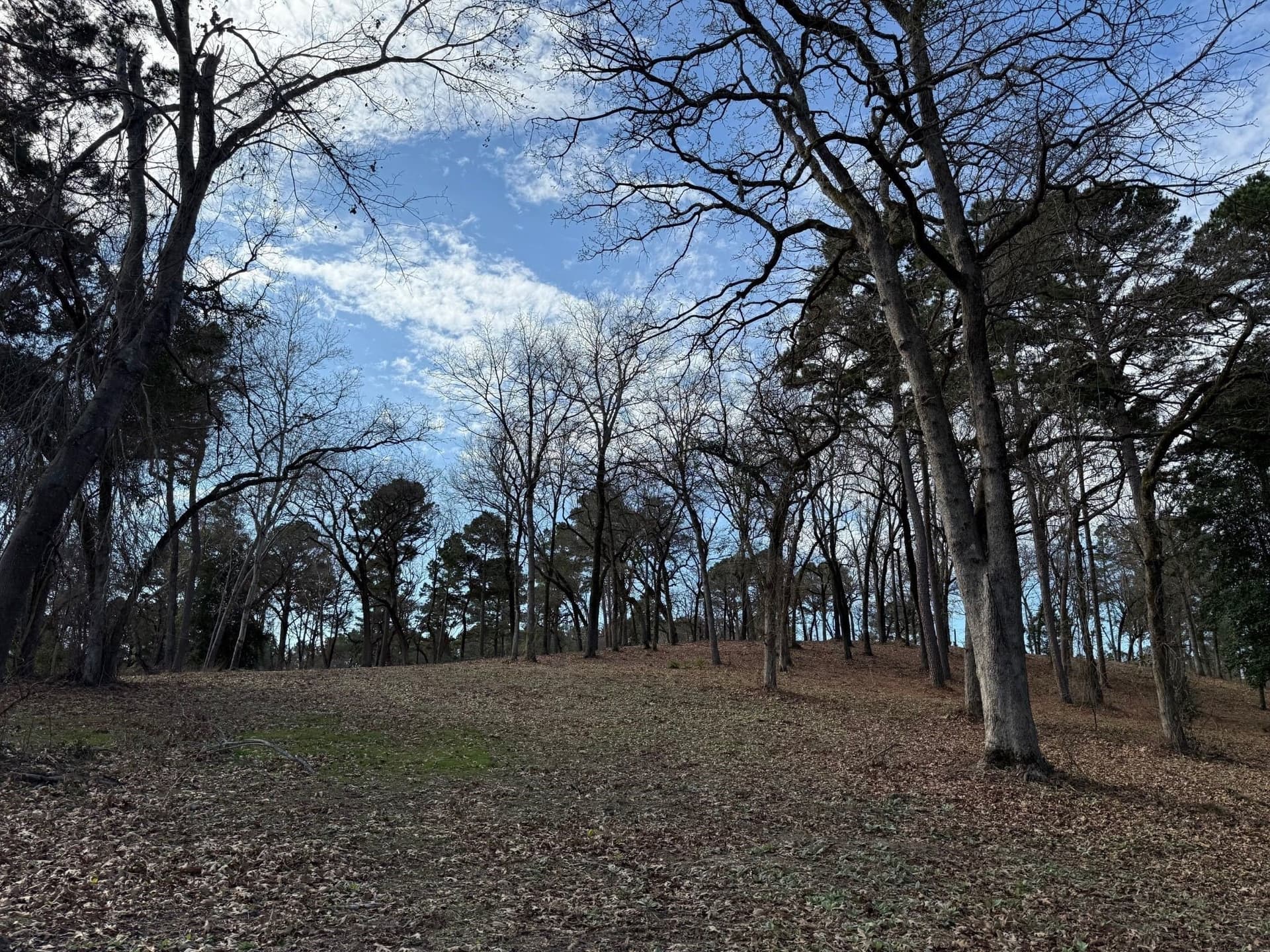 1.2 acres in Henderson County - photo 10