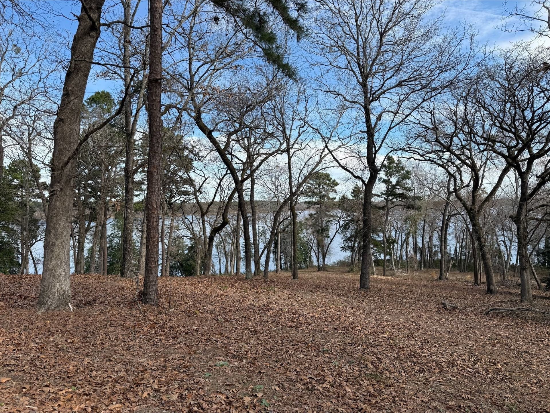 1.2 acres in Henderson County - photo 6