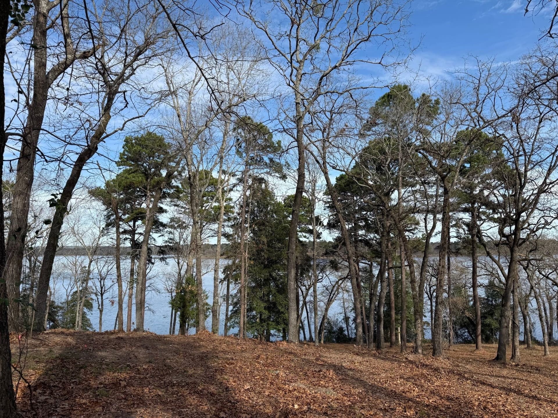 1.2 acres in Henderson County - photo 9