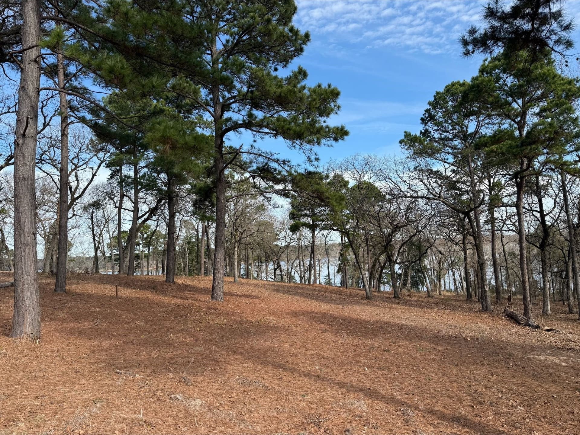 1.2 acres in Henderson County - photo 5
