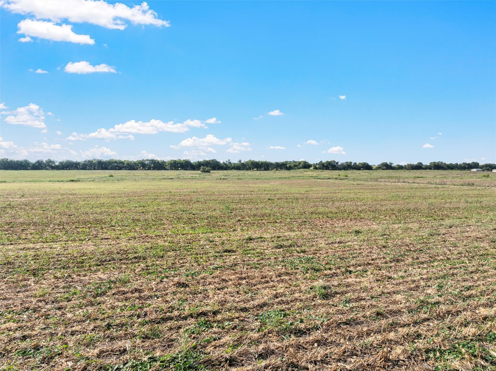 28.6 acres in Bell County - photo 10