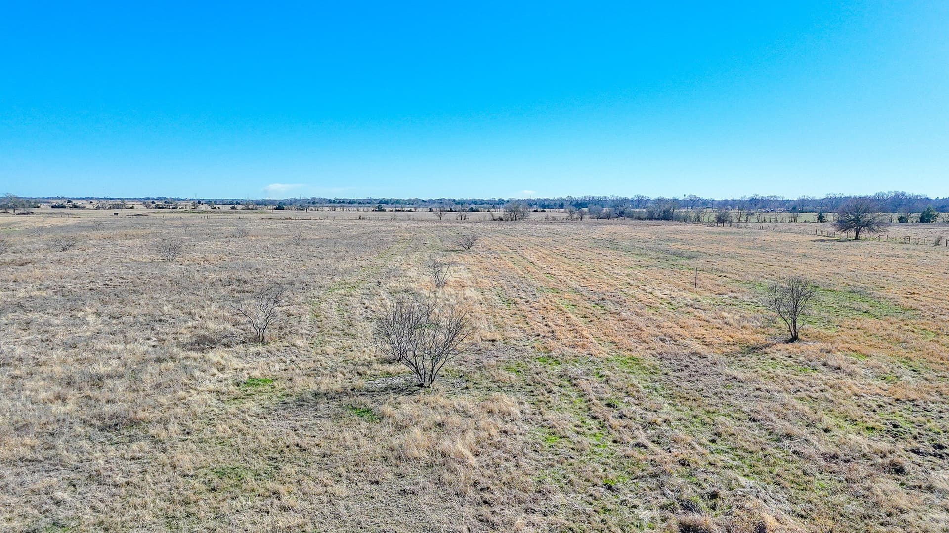 5.02 acres in Navarro County - photo 3