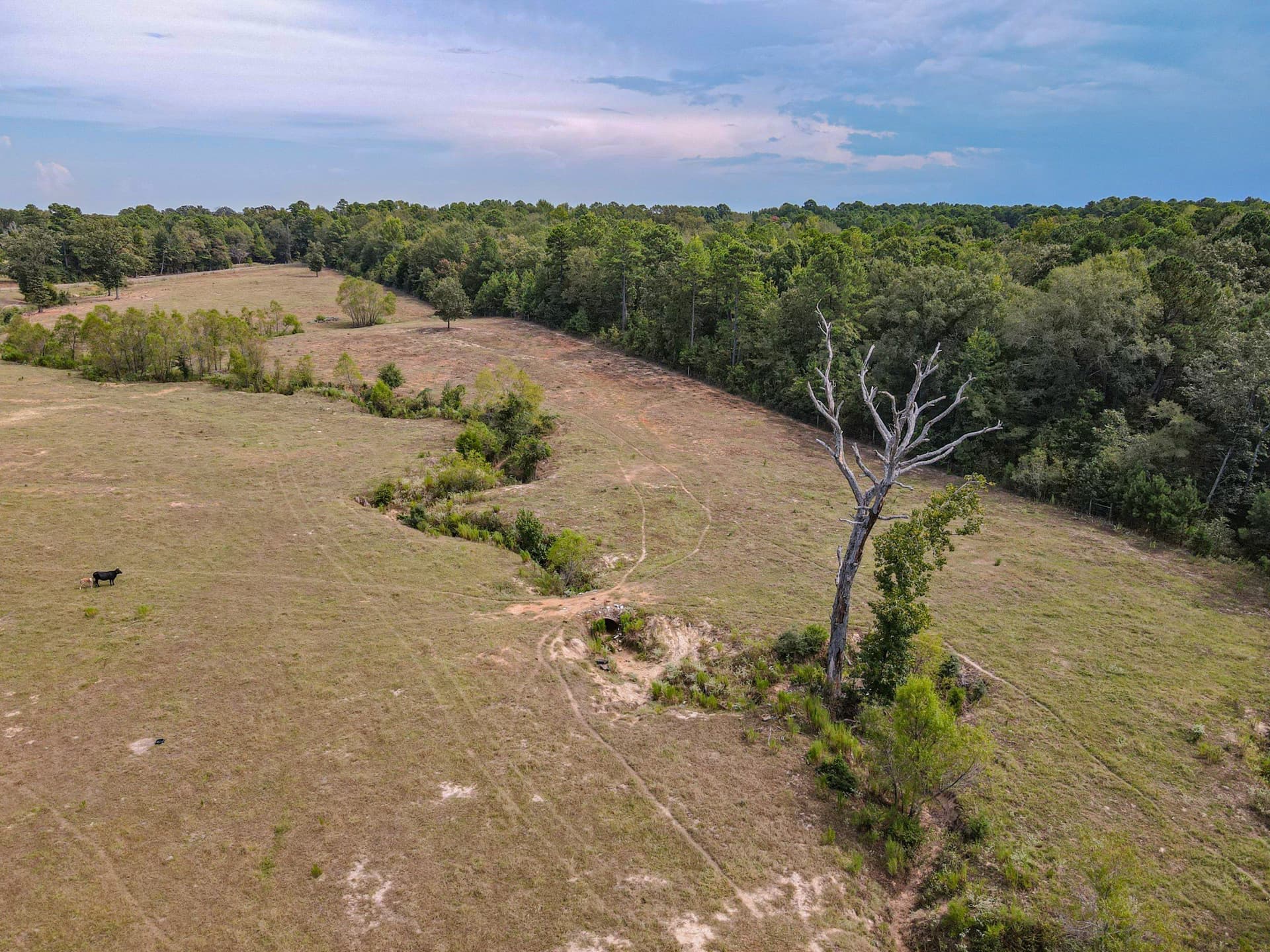 33.03 acres in Harrison County - photo 27