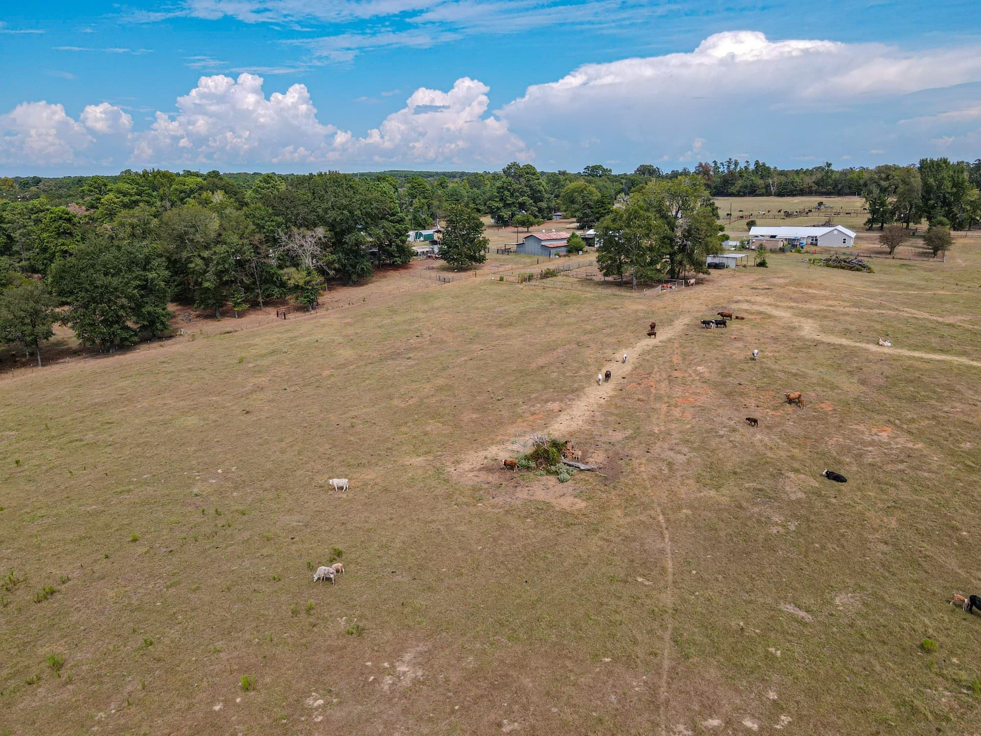 33.03 acres in Harrison County - photo 26