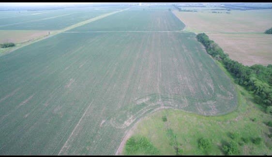 35.97 acres in Hunt County - photo 3