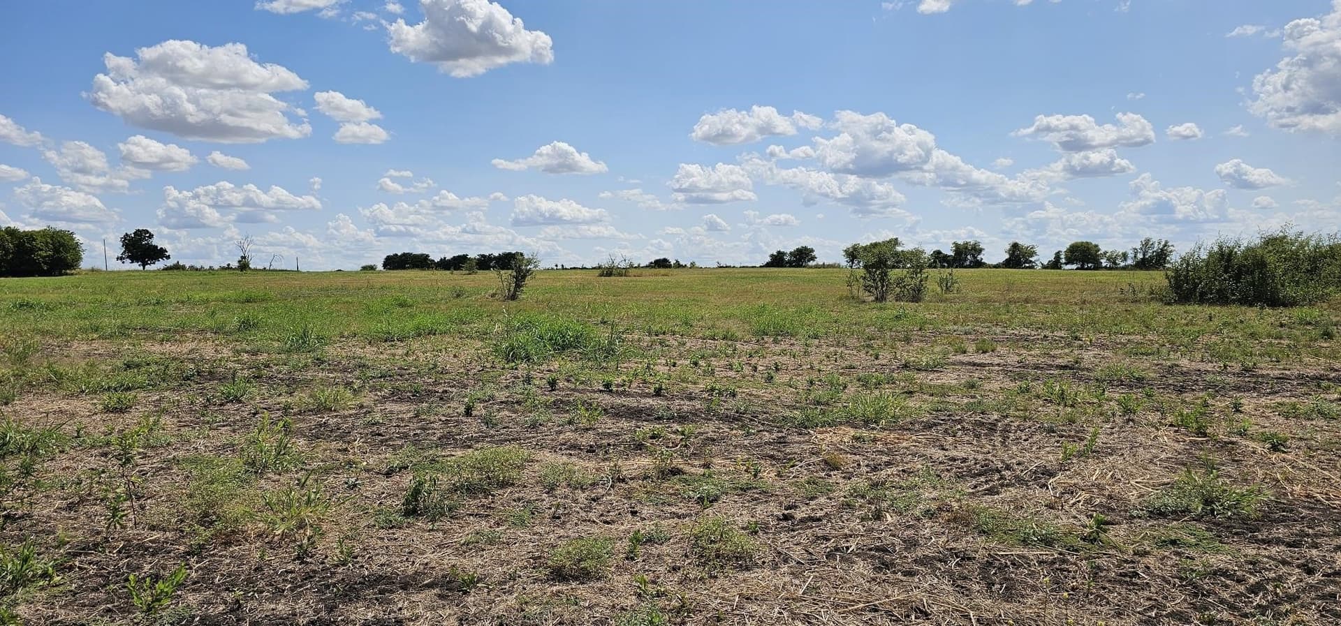 20.05 acres in Hill County - photo 11
