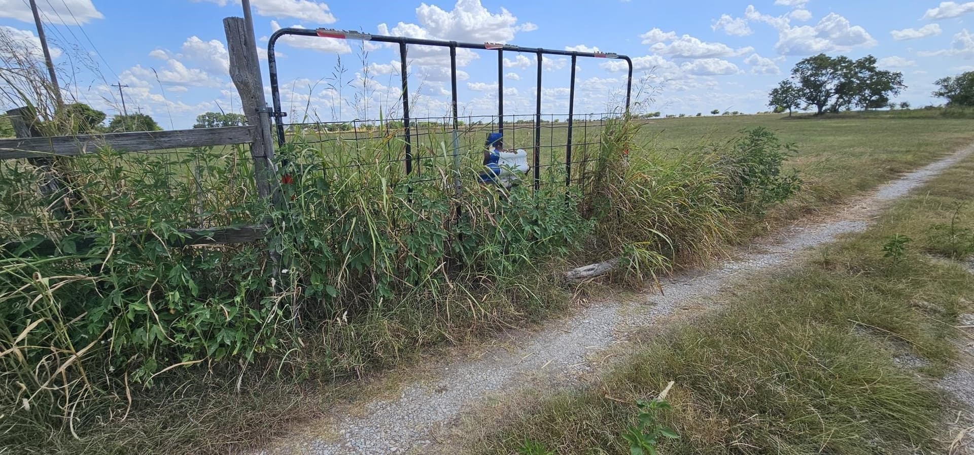 20.05 acres in Hill County - photo 2