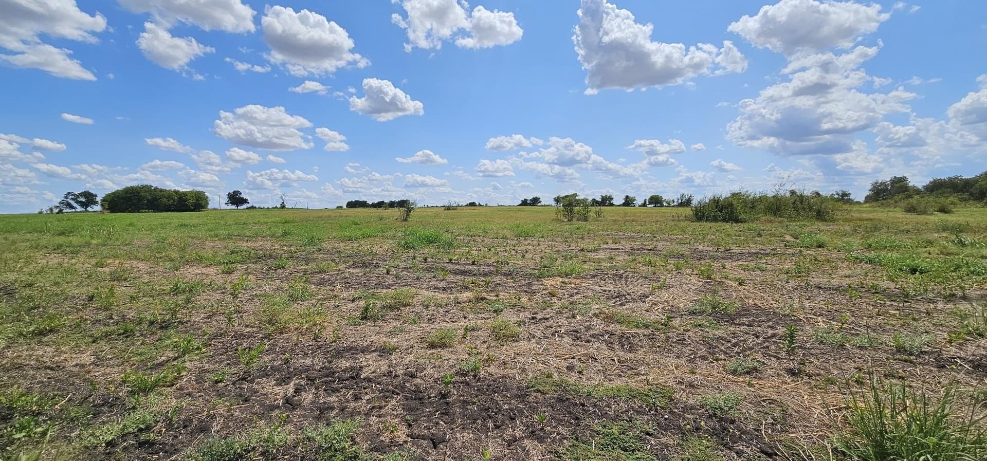 20.05 acres in Hill County - photo 12