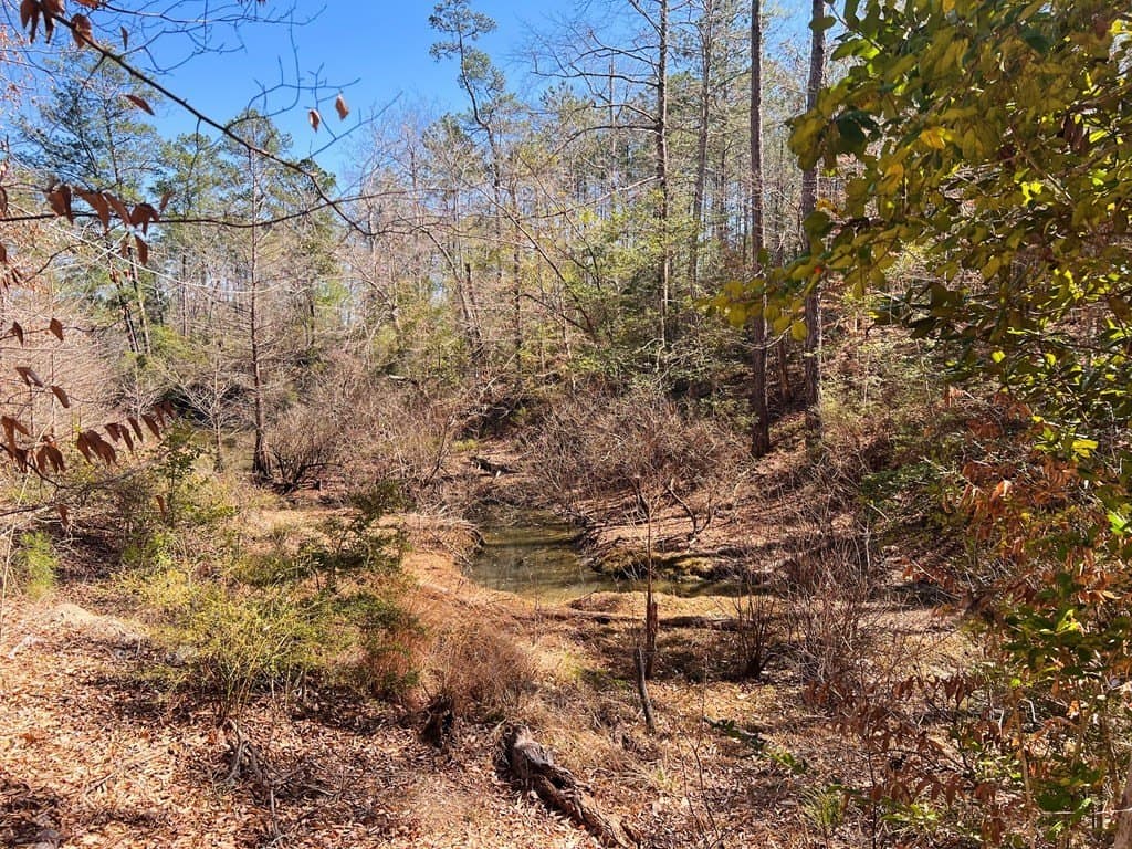 0.66 acres in Texas County - photo 7