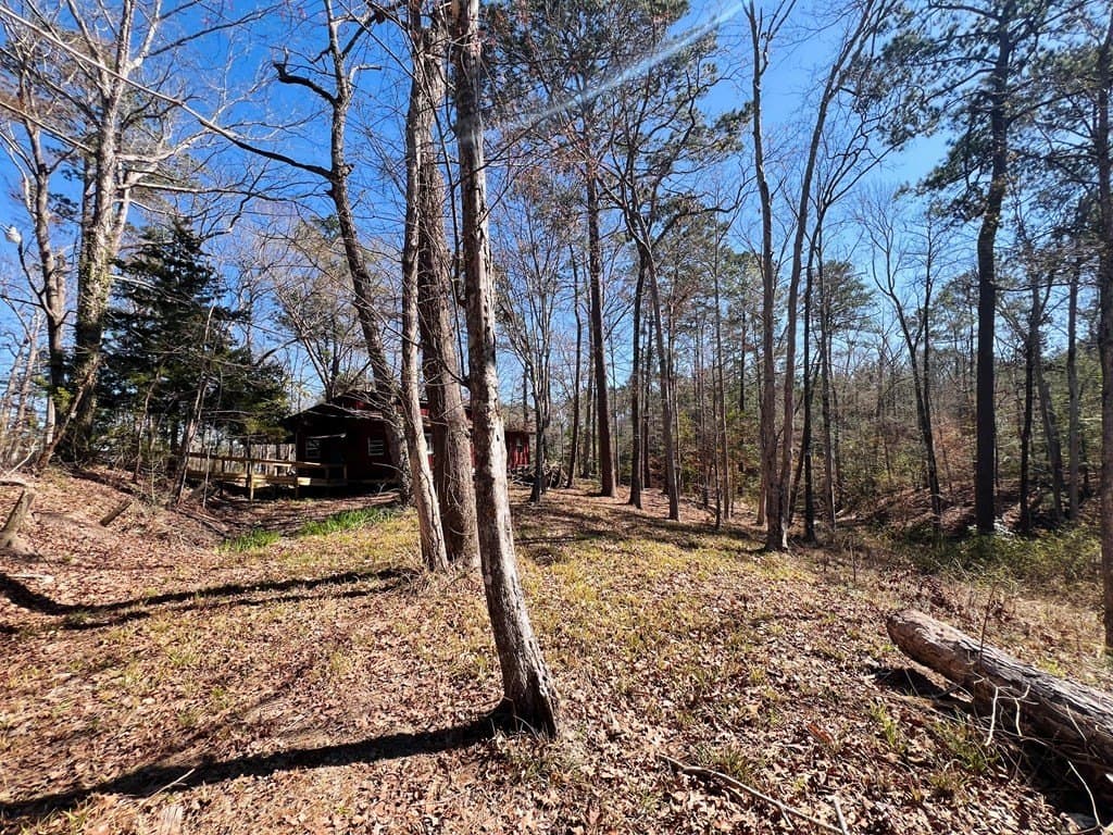 0.66 acres in Texas County - photo 14
