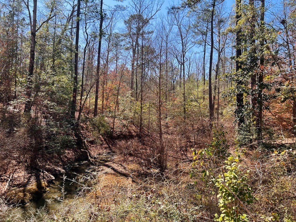 0.66 acres in Texas County - photo 5