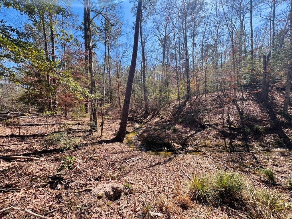 0.66 acres in Texas County - photo 13