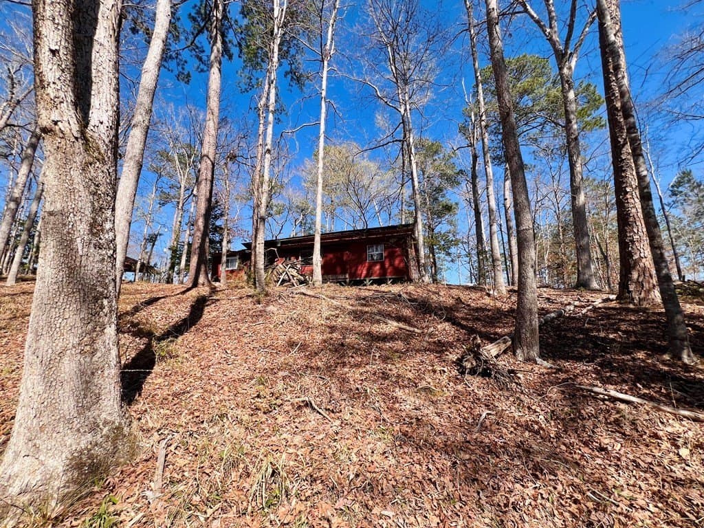 0.66 acres in Texas County - photo 20