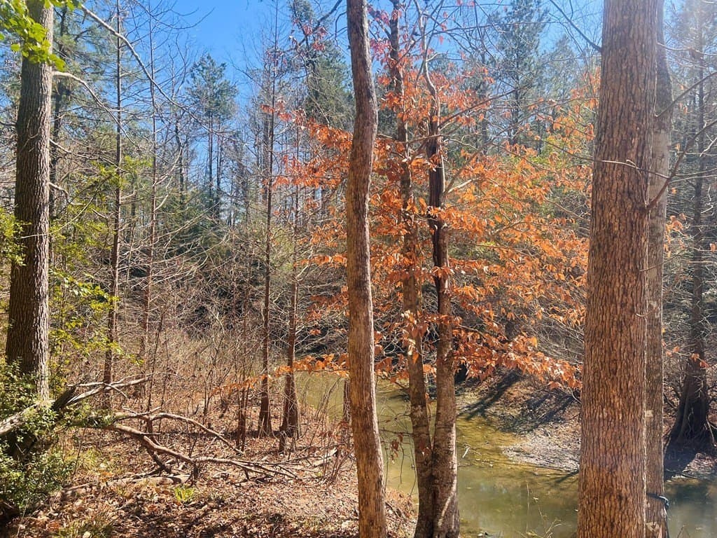 0.66 acres in Texas County - photo 3
