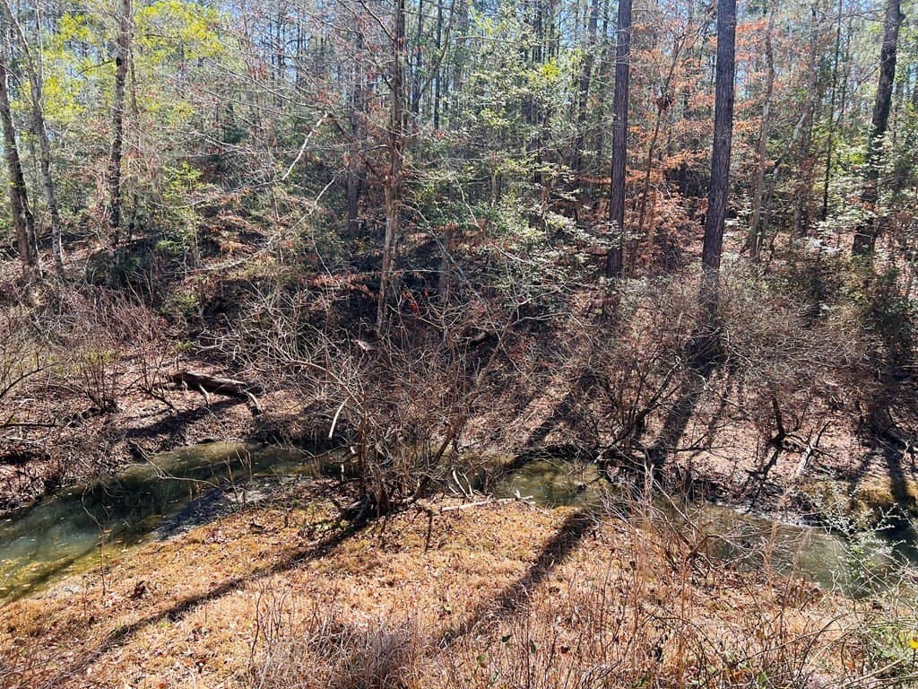 0.66 acres in Texas County - photo 6