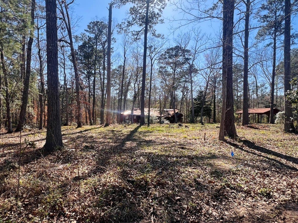 0.66 acres in Texas County - photo 25