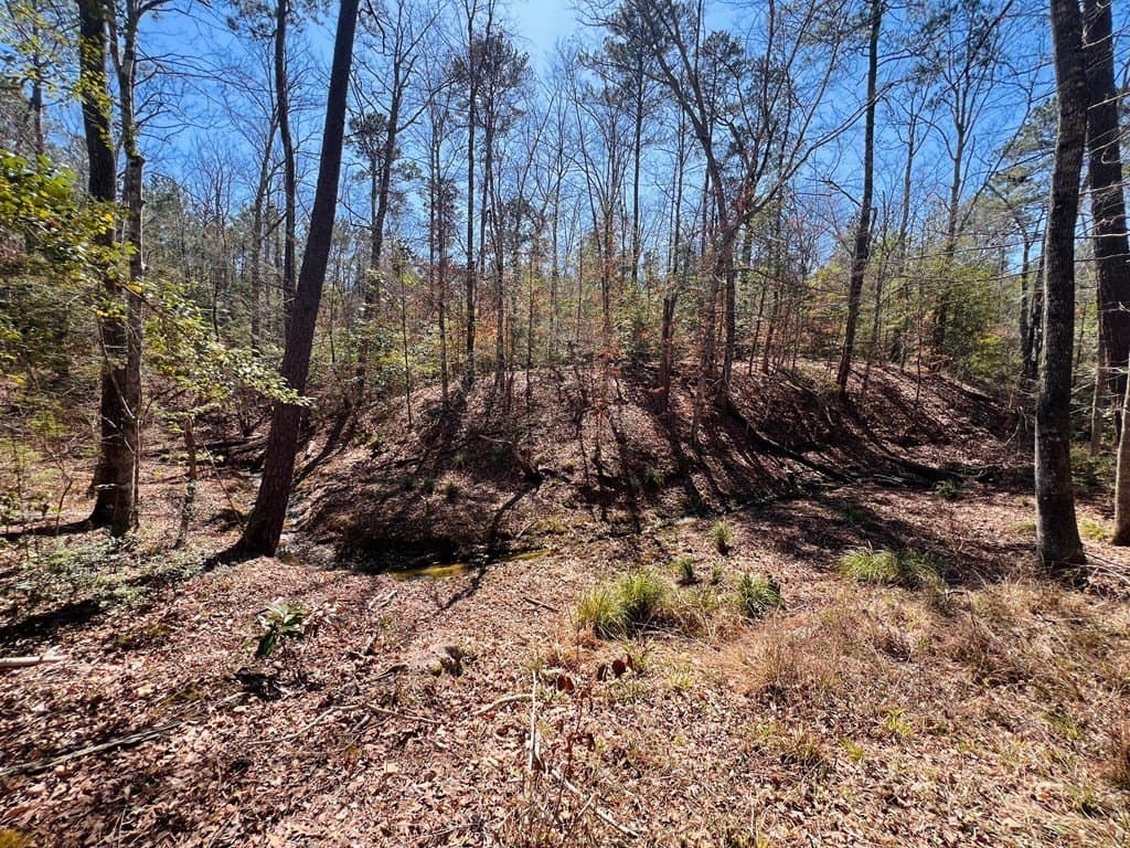 0.66 acres in Texas County - photo 9