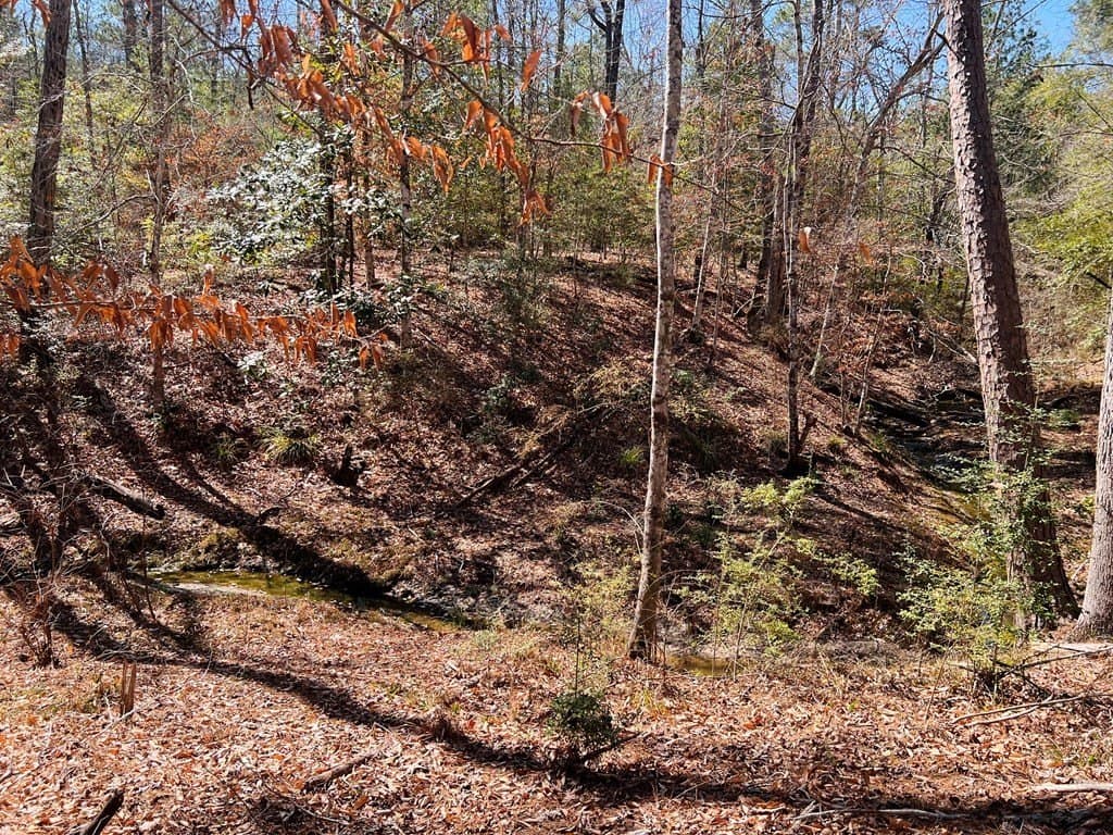 0.66 acres in Texas County - photo 8