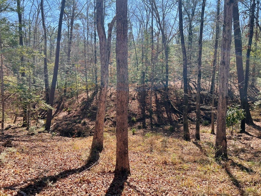0.66 acres in Texas County - photo 12