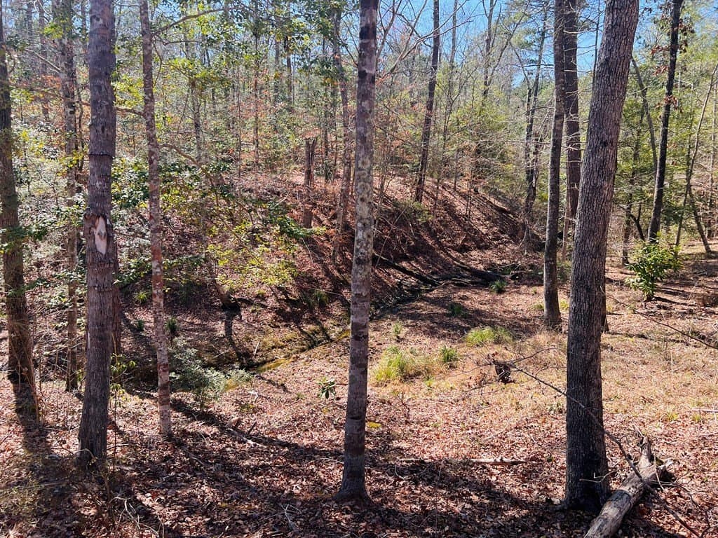 0.66 acres in Texas County - photo 10