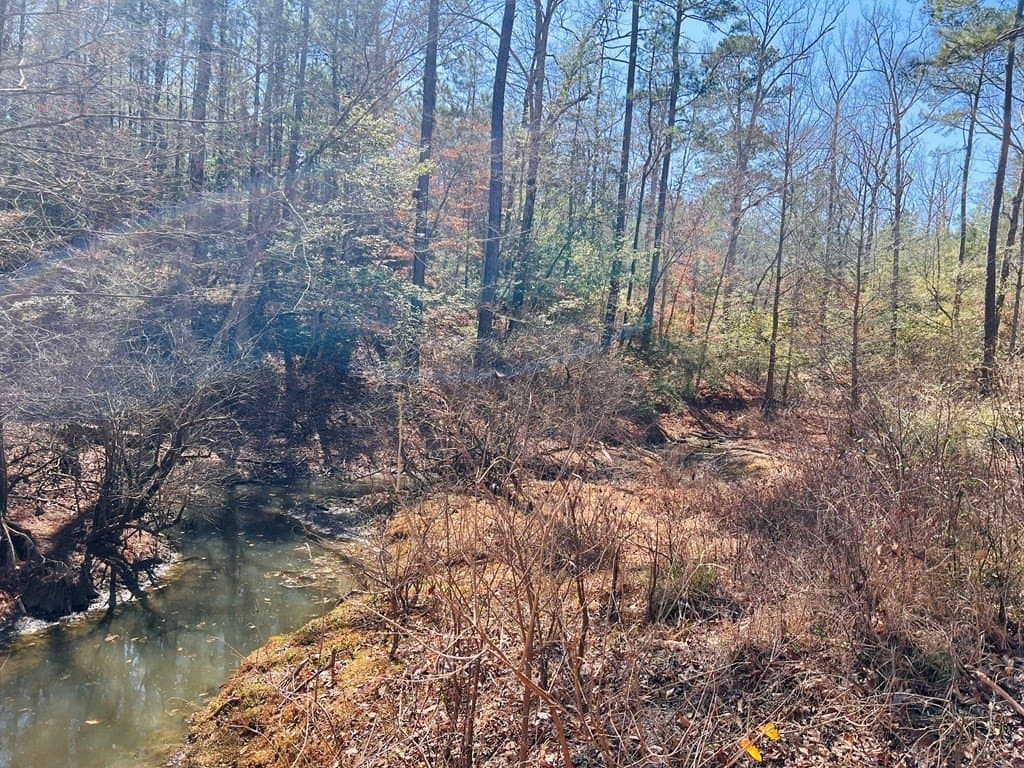 0.66 acres in Texas County - photo 4