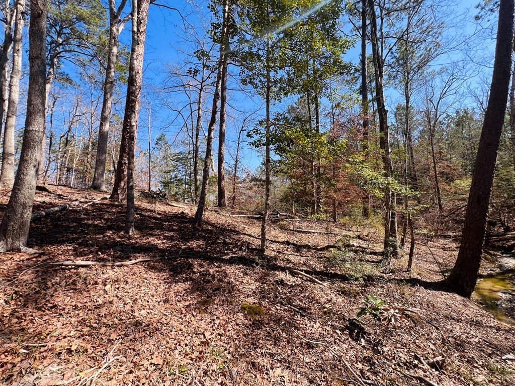 0.66 acres in Texas County - photo 11