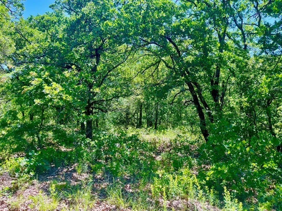 2 acres in Parker County - photo 3