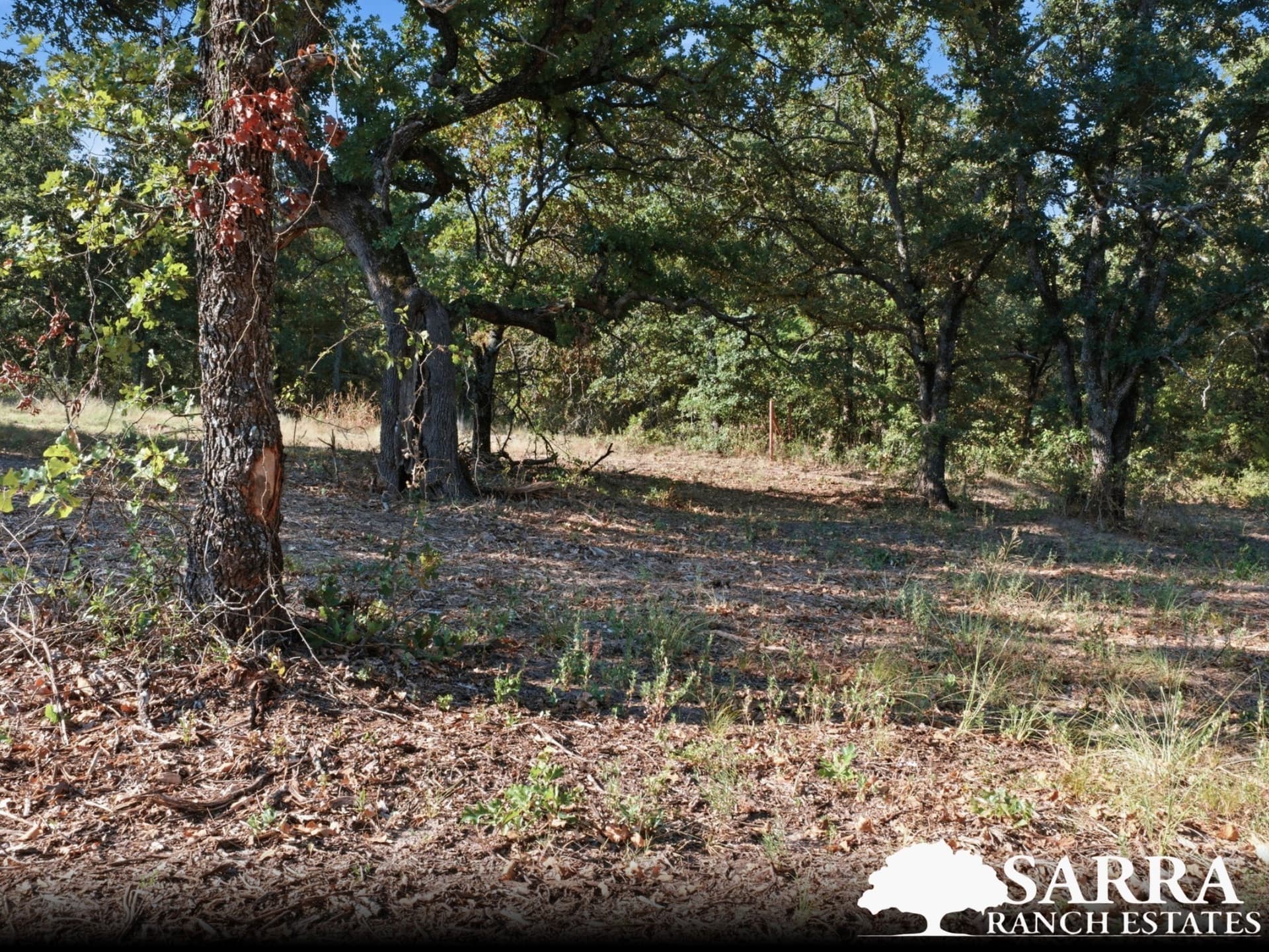 2 acres in Parker County - photo 5