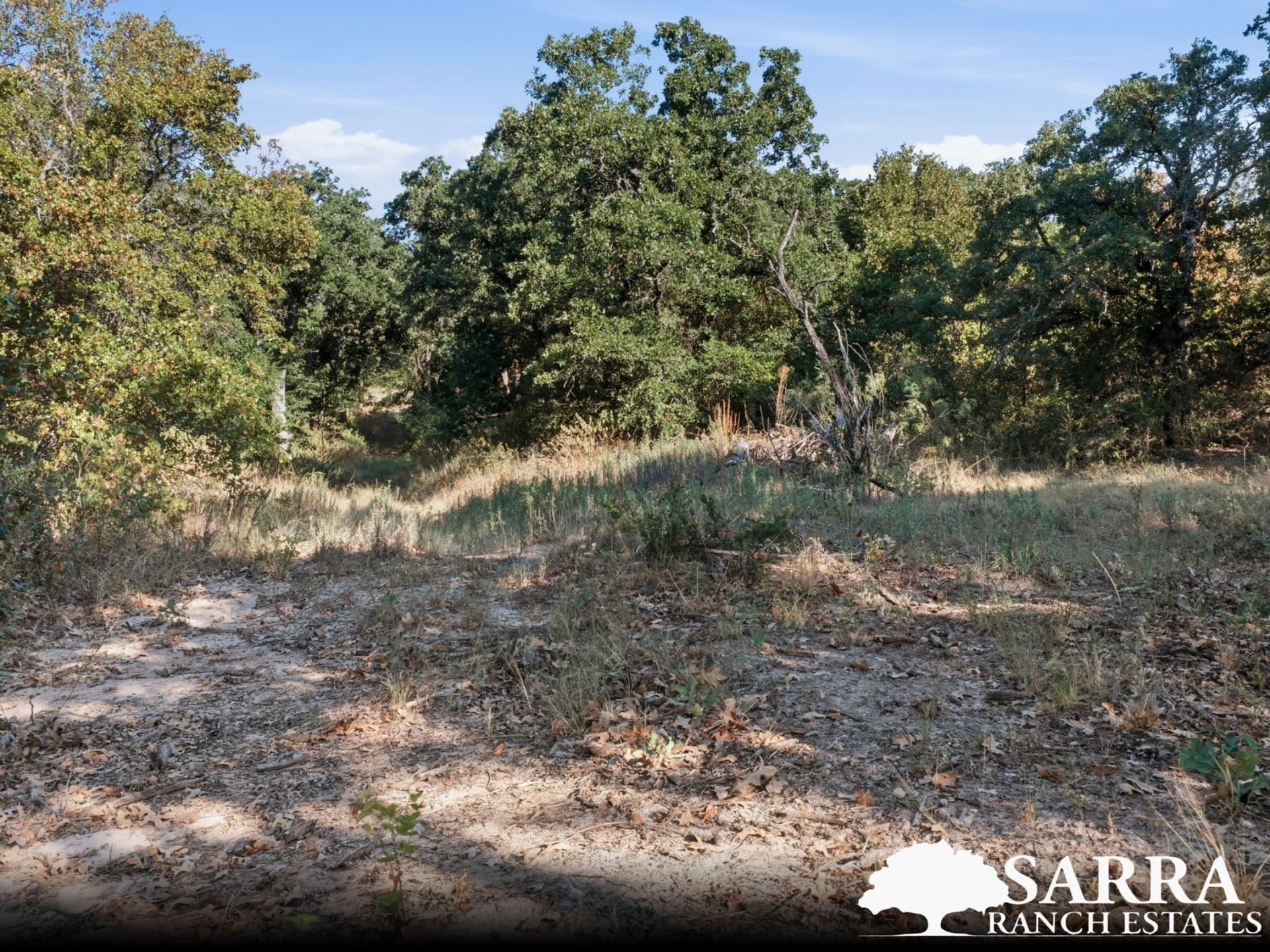 2 acres in Parker County - photo 4