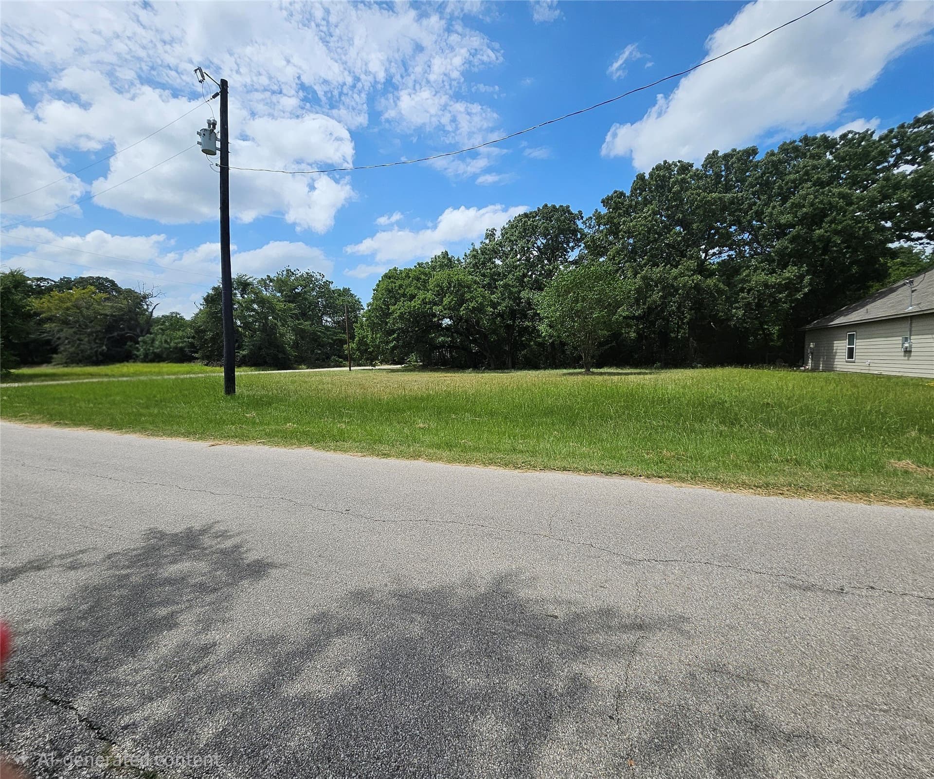 0.29 acres in Henderson County gallery image 4