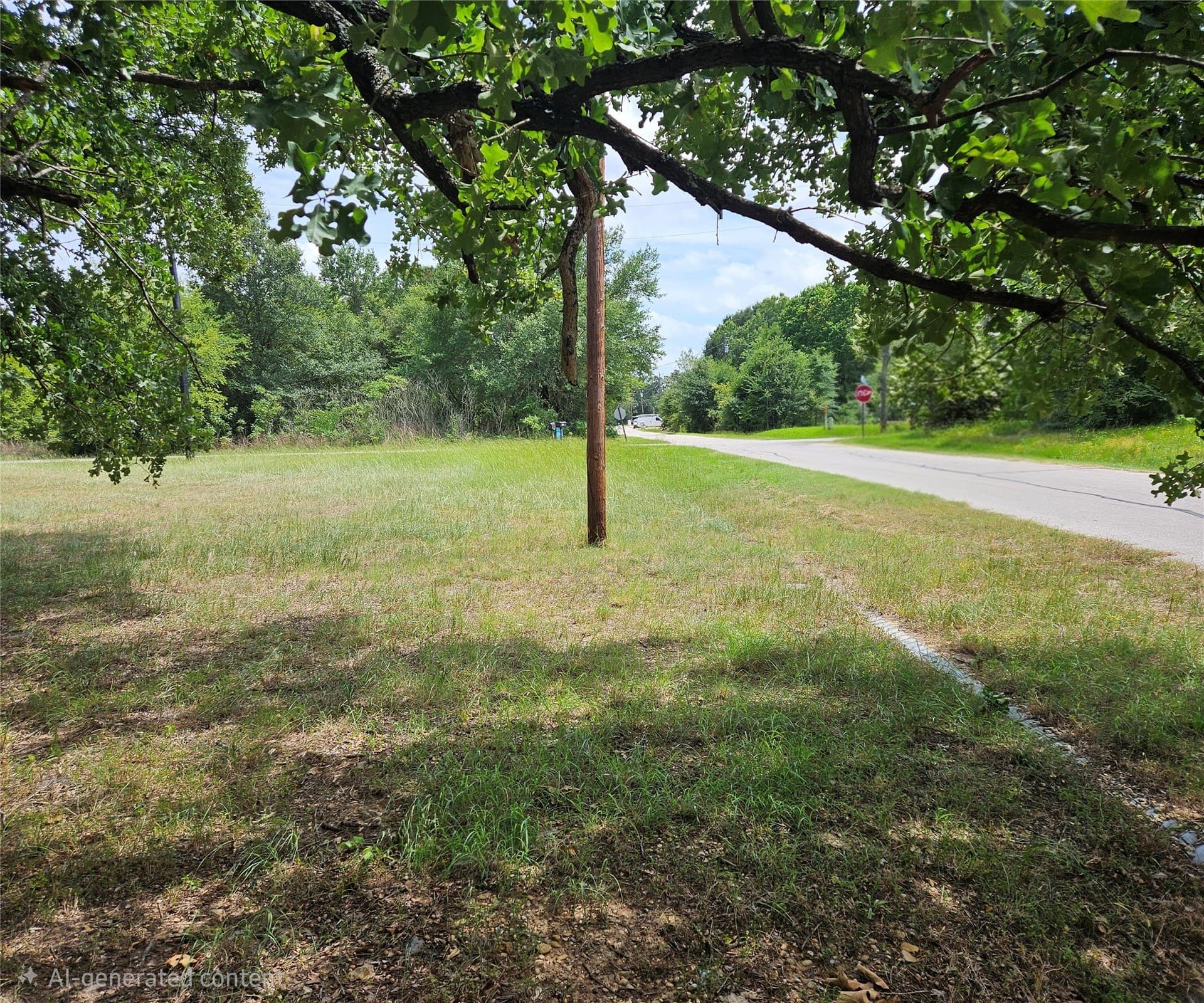 0.29 acres in Henderson County gallery image 3