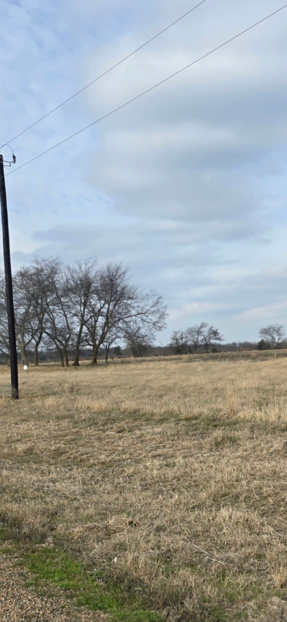 2 acres in Hopkins County - photo 4