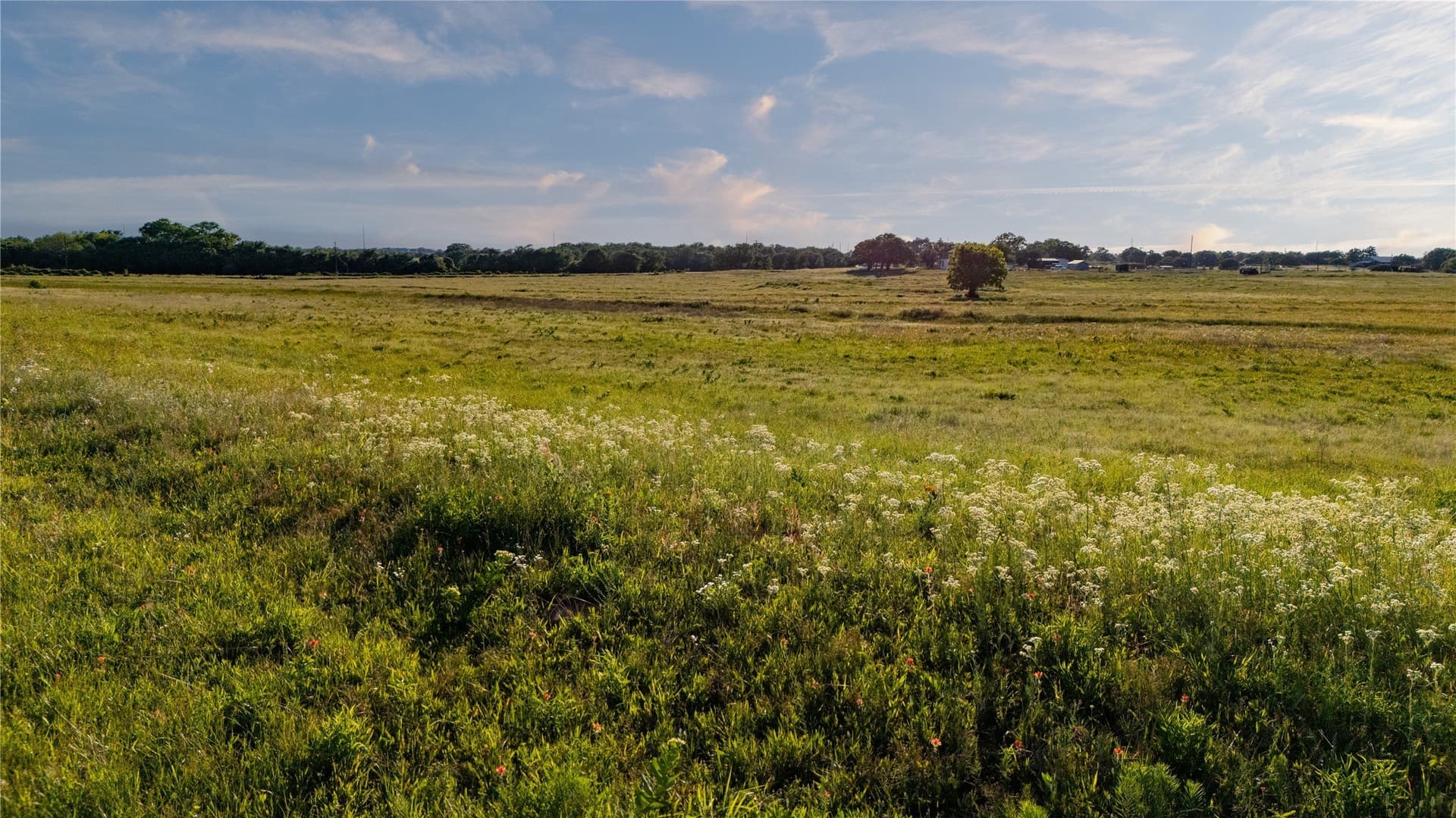 134 acres in Parker County - photo 19
