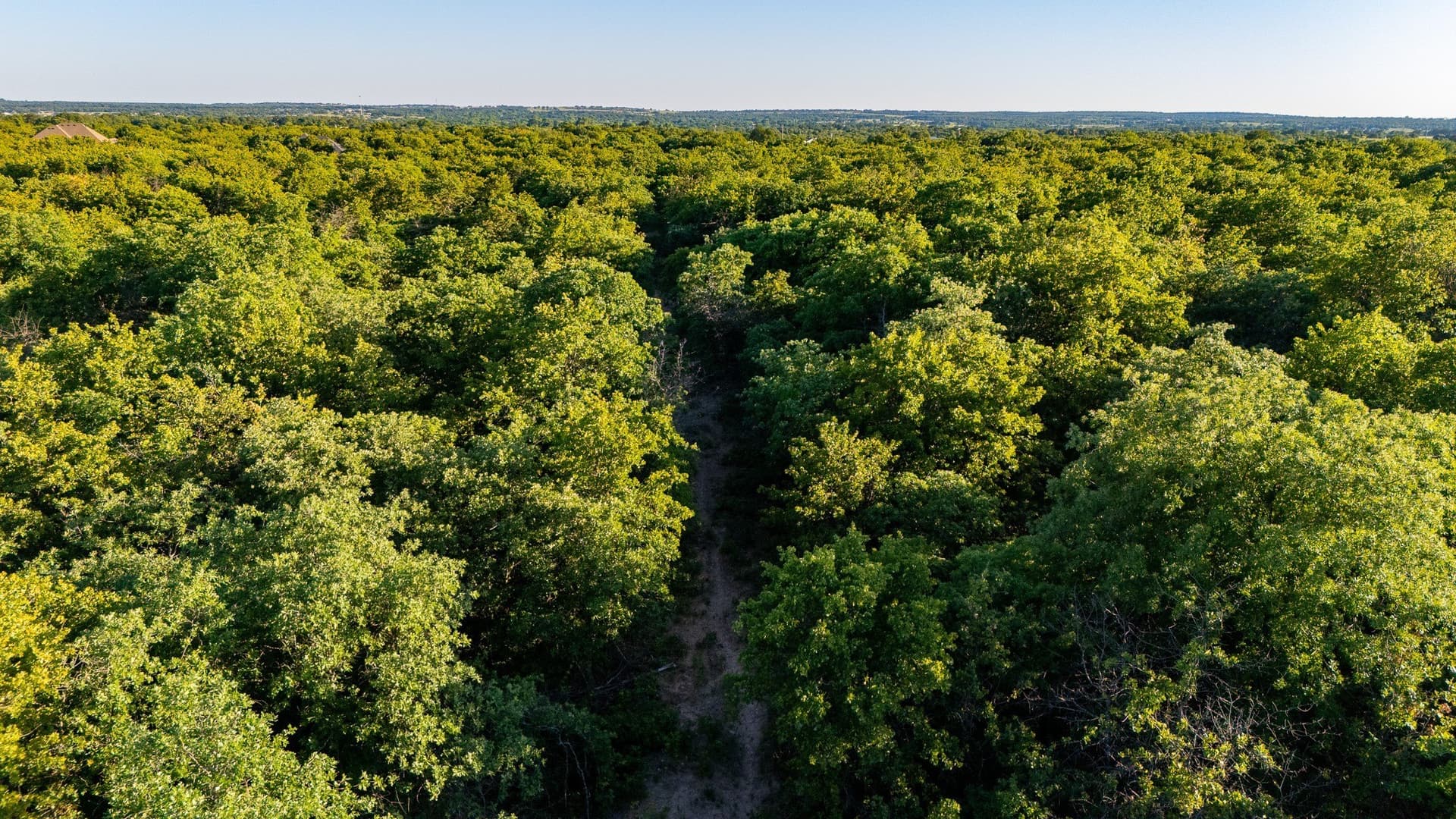 134 acres in Parker County - photo 24