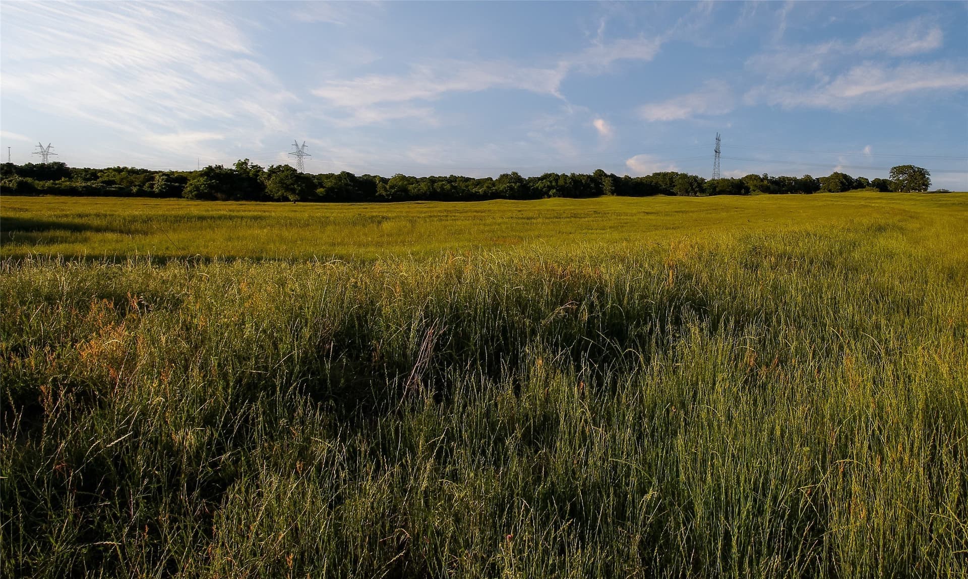 134 acres in Parker County - photo 26